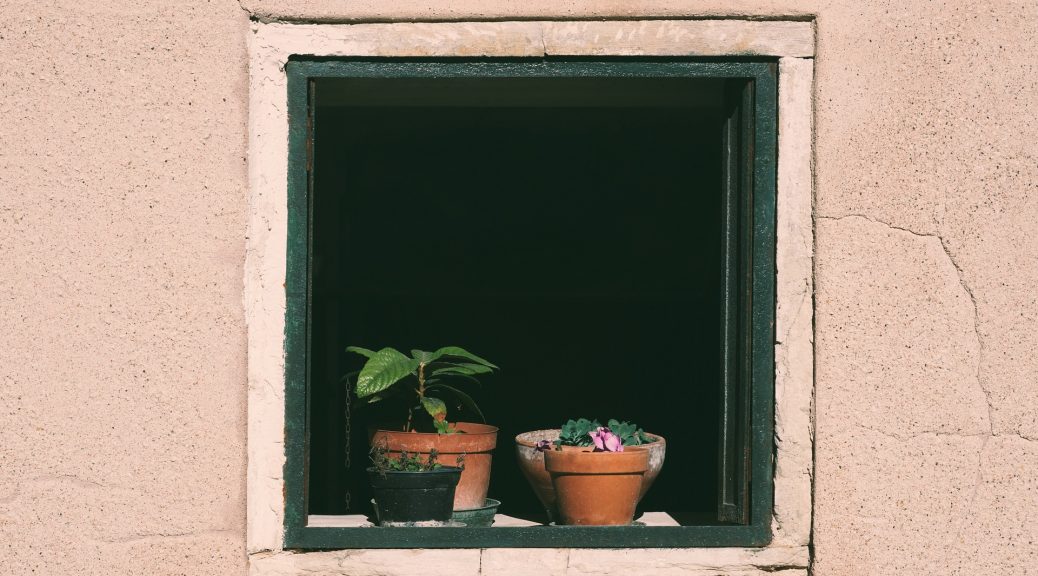 Fenster mit Topfpflanzen